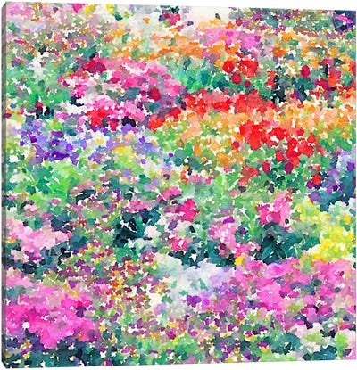 Secret Garden Canvas Art Print - Colorful Spring