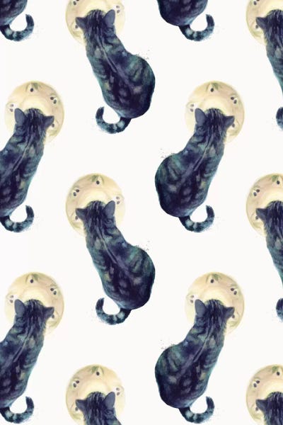 Kittens: Kitten And Saucer by Jacqueline Maldonado