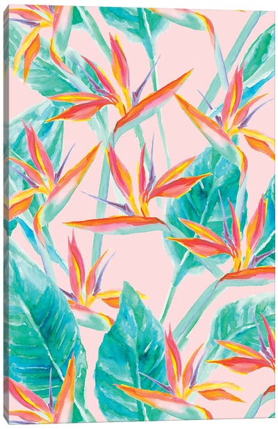 Birds Of Paradise Canvas Art Print - Jacqueline Maldonado