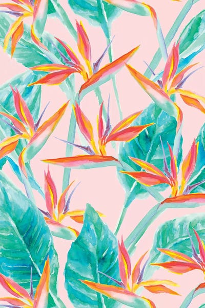 Birds Of Paradise: Birds Of Paradise by Jacqueline Maldonado