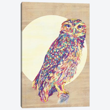 Owls Canvas Print #JMO94} by Jacqueline Maldonado Canvas Artwork