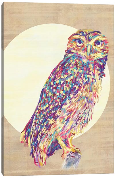 Owls Canvas Art Print - Jacqueline Maldonado