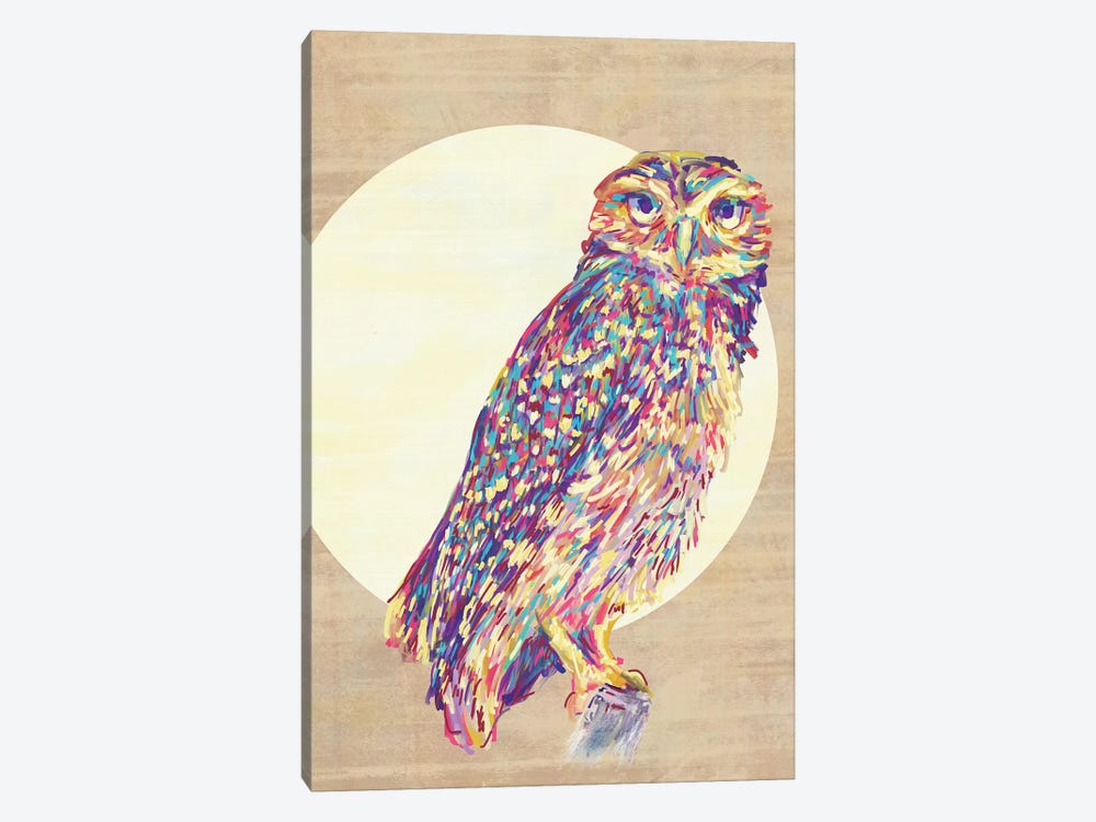 Owls by Jacqueline Maldonado 1-piece Art Print