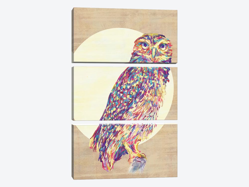 Owls by Jacqueline Maldonado 3-piece Canvas Art Print