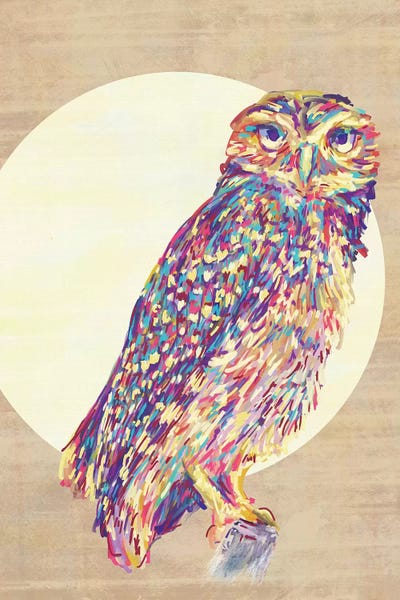 Jacqueline Maldonado: Owls by Jacqueline Maldonado
