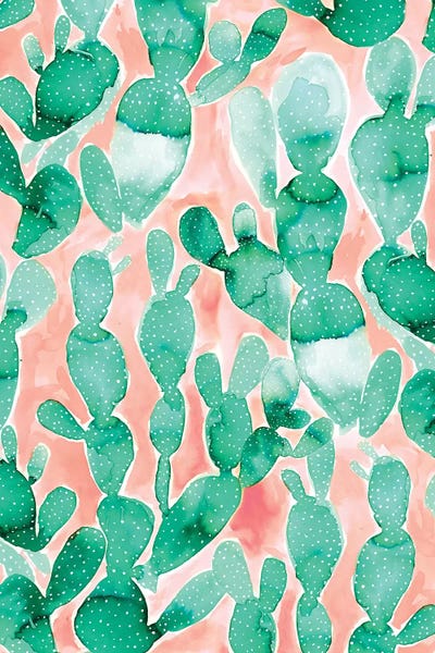 Paddle Cactus Blush by Jacqueline Maldonado framed canvas print