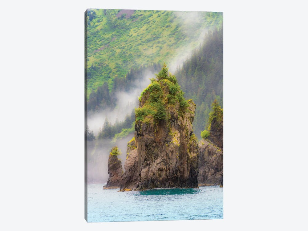 Alaska, Kenai Peninsula Scenic Landscape Of The Rocky Coast by Janet Muir 1-piece Canvas Artwork