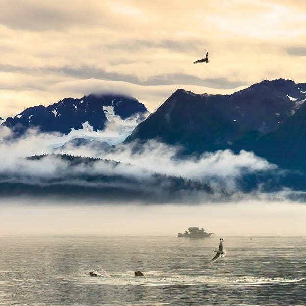 Janet Muir: Fishing Boat In Kenai Peninsula Surrounded By Mountains And Wildlife by Janet Muir