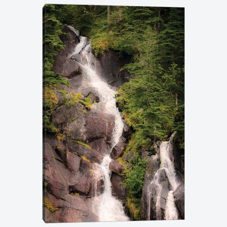 Kenai Peninsula Two Waterfalls Surrounded By Pine Trees Canvas Print #JMU20} by Janet Muir Canvas Artwork