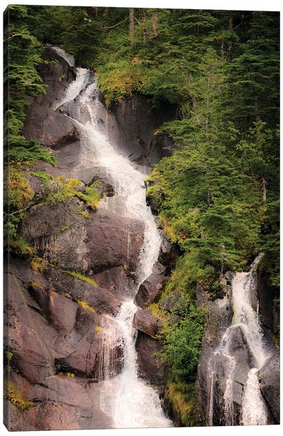 Kenai Peninsula Two Waterfalls Surrounded By Pine Trees Canvas Art Print - Janet Muir