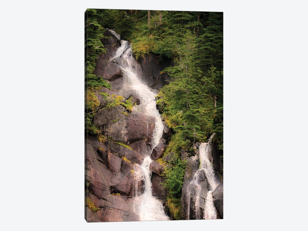 Kenai Peninsula Two Waterfalls Surrounded By Pine Trees by Janet Muir 1-piece Canvas Art Print