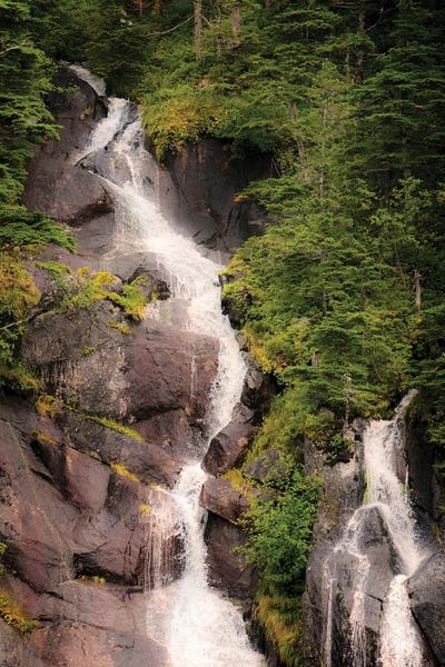 Janet Muir: Kenai Peninsula Two Waterfalls Surrounded By Pine Trees by Janet Muir