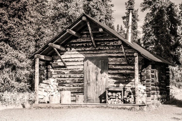 Small, Rustic Log Home In Sepia