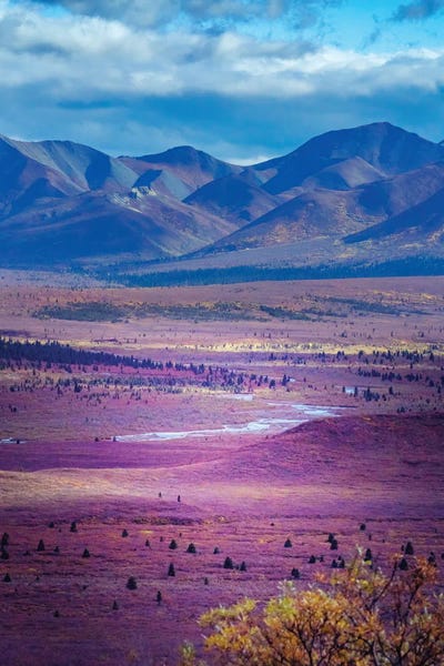 Layered Landscapes: Alaska, Denali National Park Autumn Landscape Of Valley And Mountains I by Janet Muir