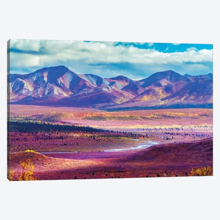 Alaska, Denali National Park Autumn Landscape Of Valley And Mountains II Canvas Print #JMU9} by Janet Muir Canvas Wall Art