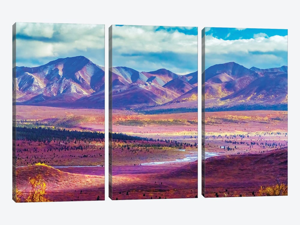 Alaska, Denali National Park Autumn Landscape Of Valley And Mountains II by Janet Muir 3-piece Canvas Art Print