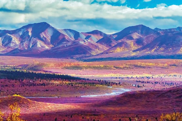 Alaska: Alaska, Denali National Park Autumn Landscape Of Valley And Mountains II by Janet Muir