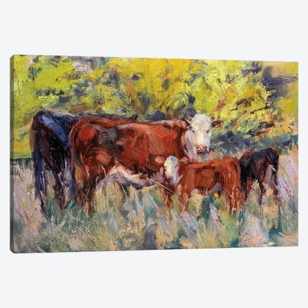 Cow Stand Canvas Print #JMV11} by James Swanson Canvas Artwork
