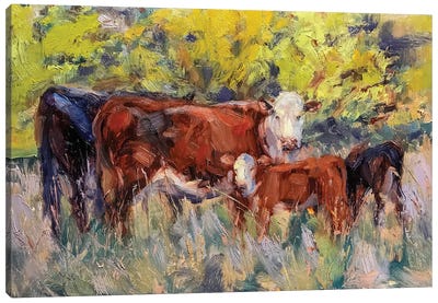 Cow Stand Canvas Art Print - Field, Grassland & Meadow Art