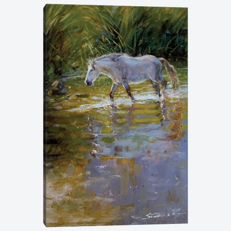 Horse In Water Canvas Print #JMV15} by James Swanson Canvas Print