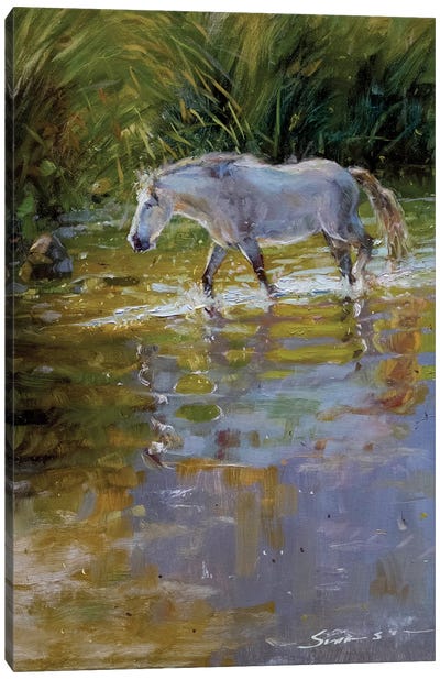 Horse In Water Canvas Art Print - Current Day Impressionism Art
