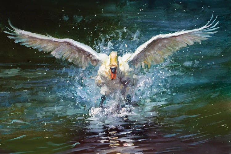 Splash Down by James Swanson wall art