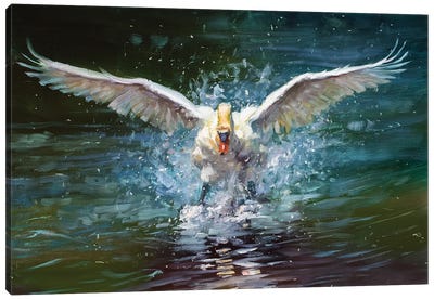 Splash Down Canvas Art Print - Swan Art