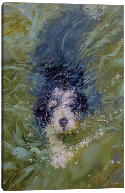 Dog In Green Water Canvas Art Print - Black, White & Green