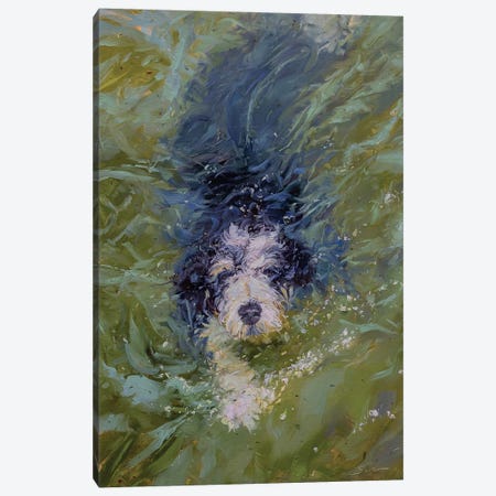 Dog In Green Water Canvas Print #JMV20} by James Swanson Canvas Art Print