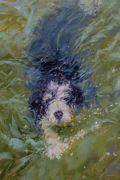 James Swanson: Dog In Green Water by James Swanson