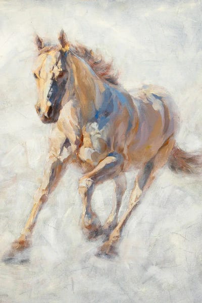 White Horse by James Swanson canvas print