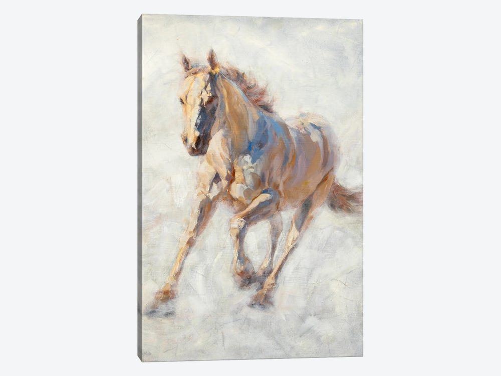 White Horse by James Swanson 1-piece Canvas Artwork