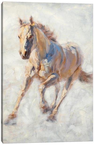 White Horse Canvas Art Print - James Swanson