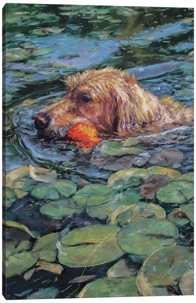 Water Retriever Canvas Art Print - Swimming Art