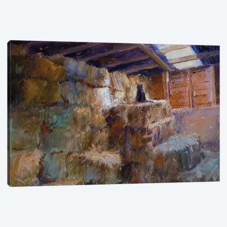 Hay Barn Cat Canvas Print #JMV6} by James Swanson Canvas Artwork