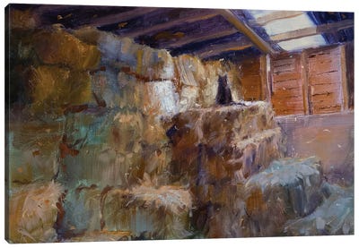 Hay Barn Cat Canvas Art Print - Current Day Impressionism Art