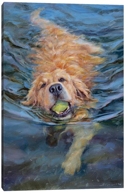 Water Baller Canvas Art Print - Sports Art
