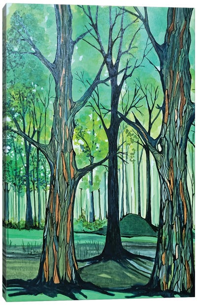 The Oaks Canvas Art Print - Jan Matthews