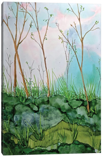 Springtime Canvas Art Print - Jan Matthews