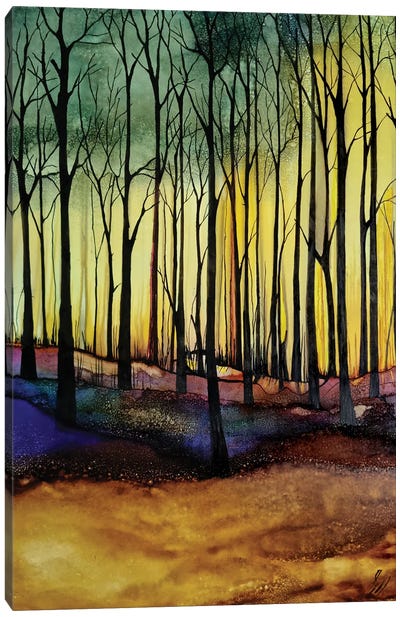 Amber Woods Canvas Art Print - Jan Matthews