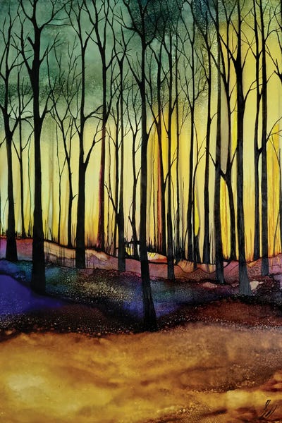 Jan Matthews: Amber Woods by Jan Matthews