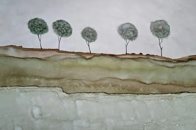 Jan Matthews