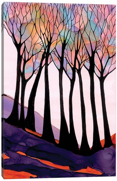 Colourful Canvas Art Print - Jan Matthews