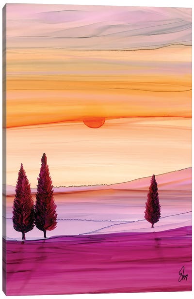 Sunset Fir Canvas Art Print - Jan Matthews