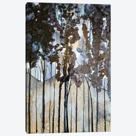 The Black Forest Canvas Print #JMW84} by Jan Matthews Canvas Print