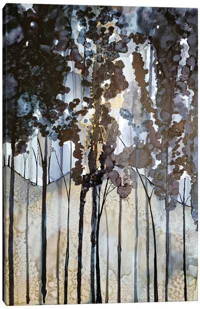 The Black Forest Canvas Art Print - Jan Matthews