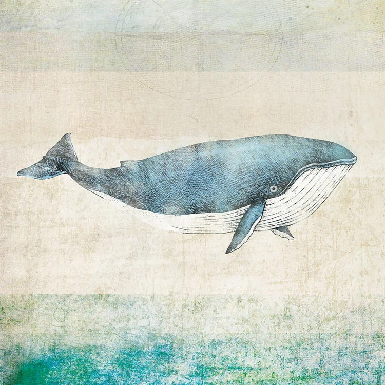 Whale - Square