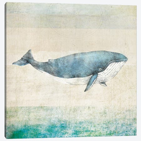 Whale - Square Canvas Print #JMX1} by JMB Design Art Print