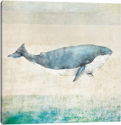 Whale - Square Canvas Art Print