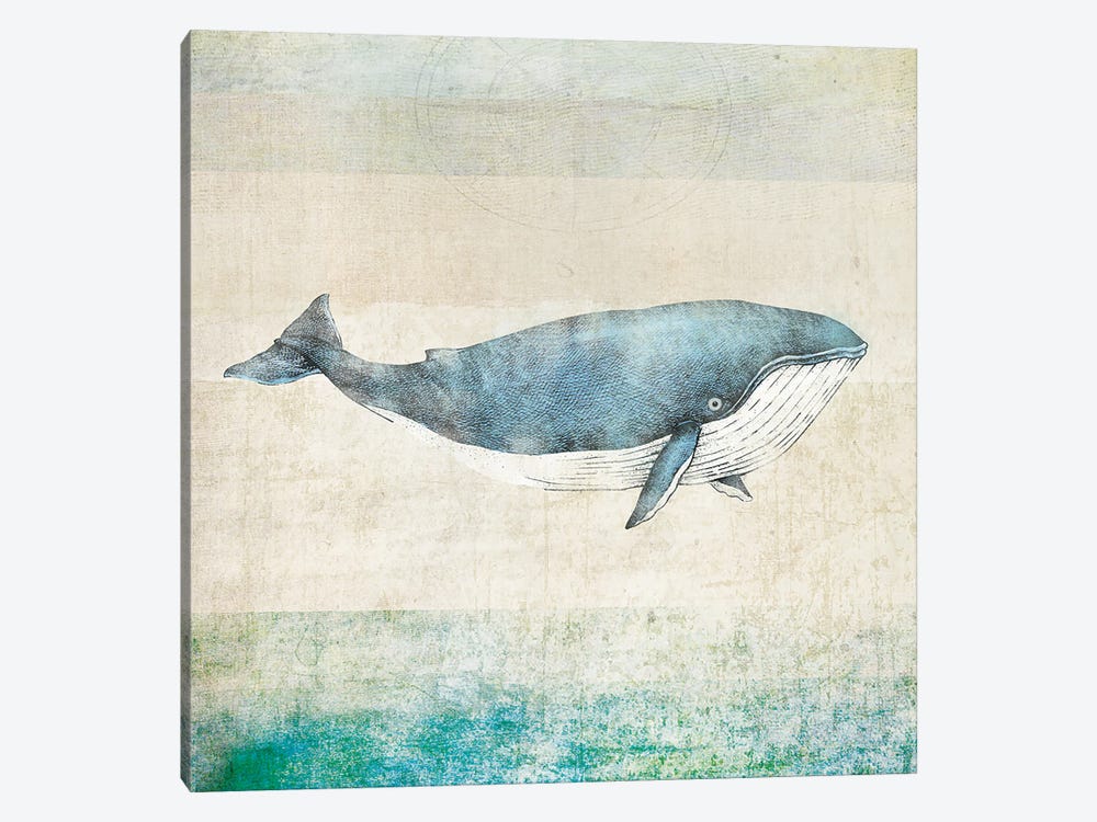 Whale - Square by JMB Design 1-piece Canvas Wall Art